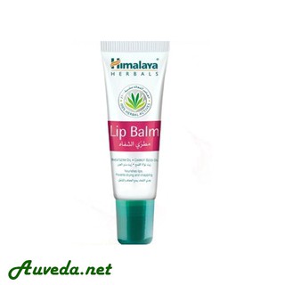 Son Dưỡng Mềm Môi Không Màu Himalaya Herbals Lip Balm