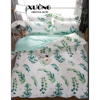 Bộ vỏ chăn ga gối liễu xanh