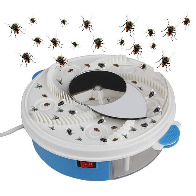 Cách diệt ruồi tại nhà, bẫy diệt ruồi - Máy diệt ruồi hiệu quả, Giúp không gian gia đình bạn luôn sạch sẽ