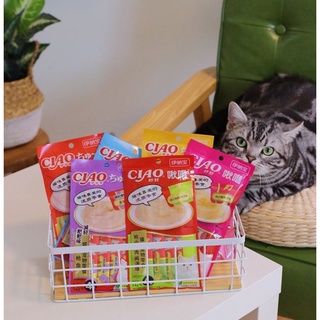 😺 Súp Thưởng Ciao Churu Cho Mèo