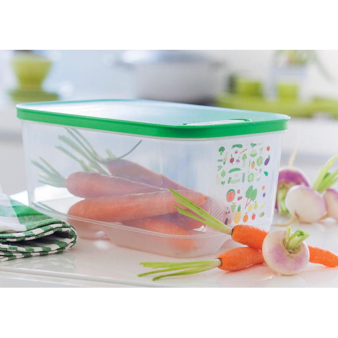 Bộ Hộp Trữ mát, Hộp Trữ Rau Củ Qủa Có Nút Hấp Ventsmart Set 4 Tupperware, Bộ Hộp Trữ Rau Qủa Lâu Ngày