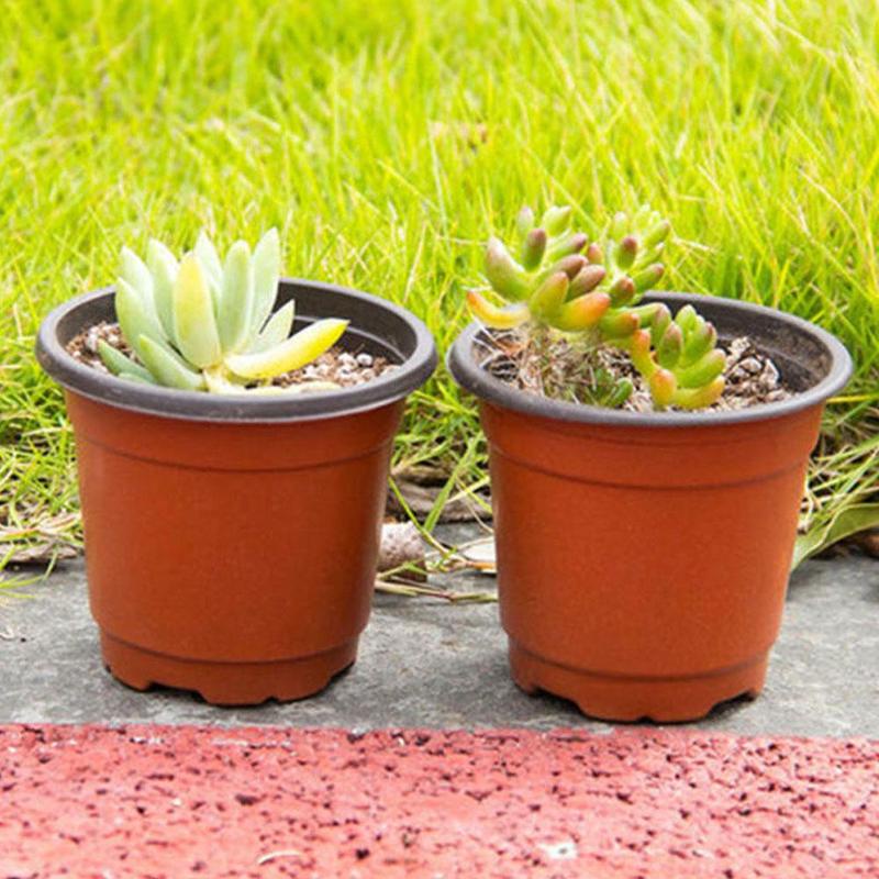 Hộp Nhựa Trồng Cây Mầm Chống Rơi F8B2