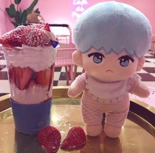 DOLL BTS BÚP BÊ BTS (kèm outfit)