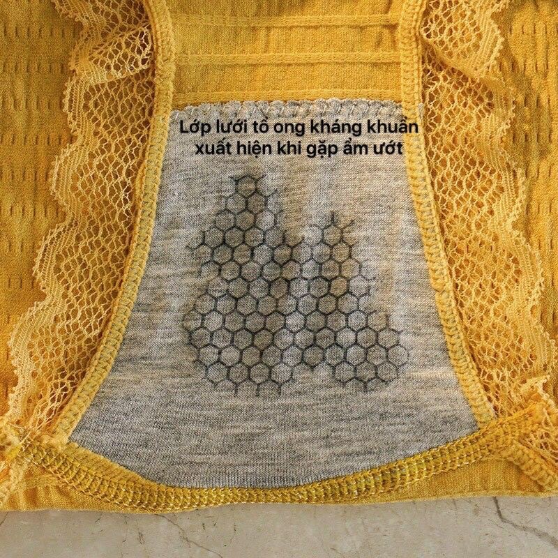 Quần lót nữ cotton viền ren nhăn kháng khuẩn co giãn siêu thấm kháng khuẩn MS556