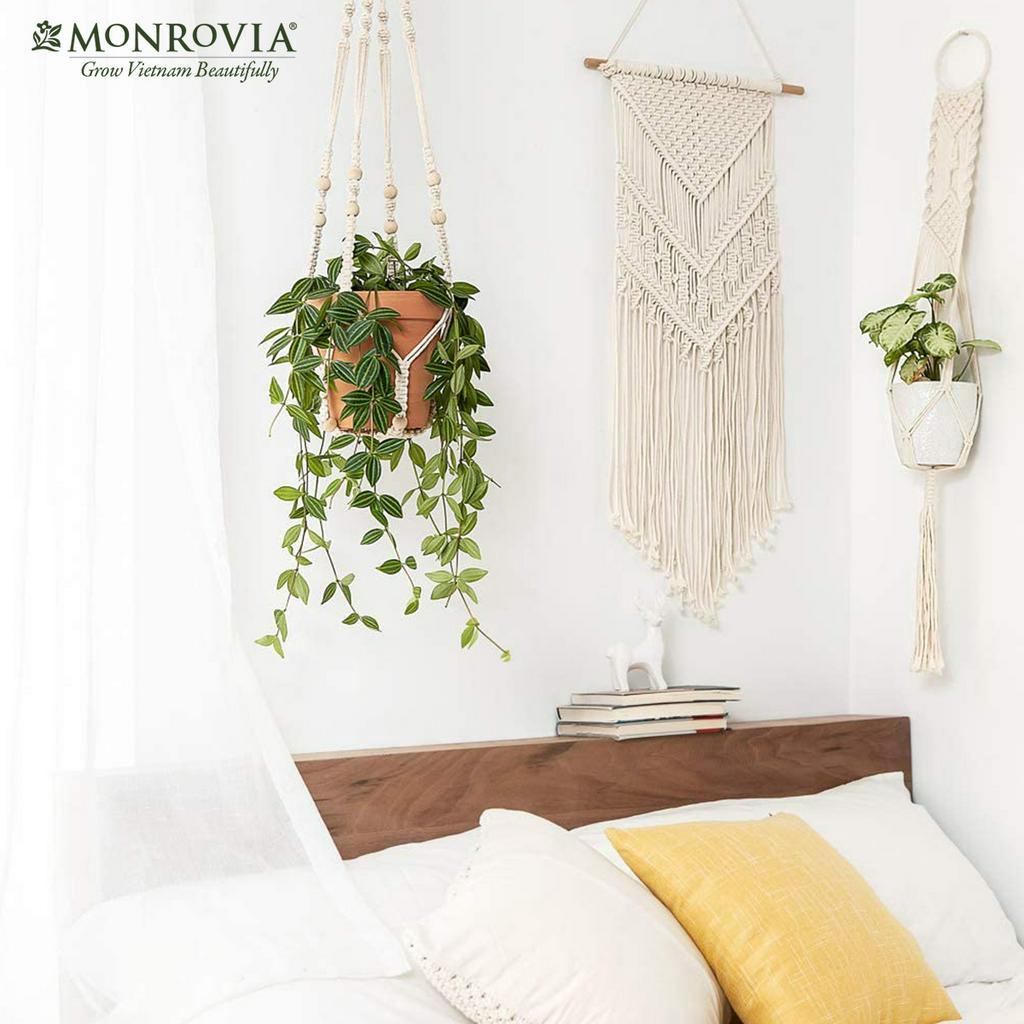 Combo 4 dây treo chậu cây Macrame MONROVIA, decor trong nhà, ban công, sang trọng, đan thủ công tỉ mỉ từ sợi cotton