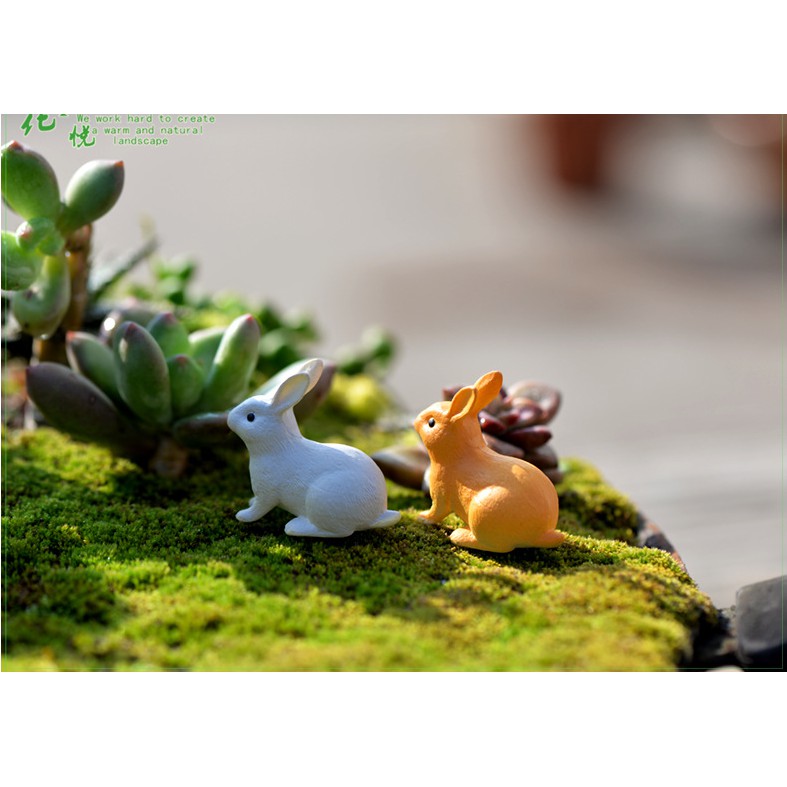 Combo đôi thỏ hai tư thế chạy và ngồi màu vàng và xám trang trí tiểu cảnh và bonsai DIY