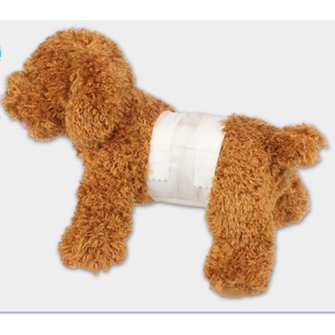 Bỉm  cho chó đực đi vệ sinh - Thương hiệu SENTEE 12 cái hộp - Cún tè bậy/đánh dấu lãnh thổ khi đi chơi, đi du lịch