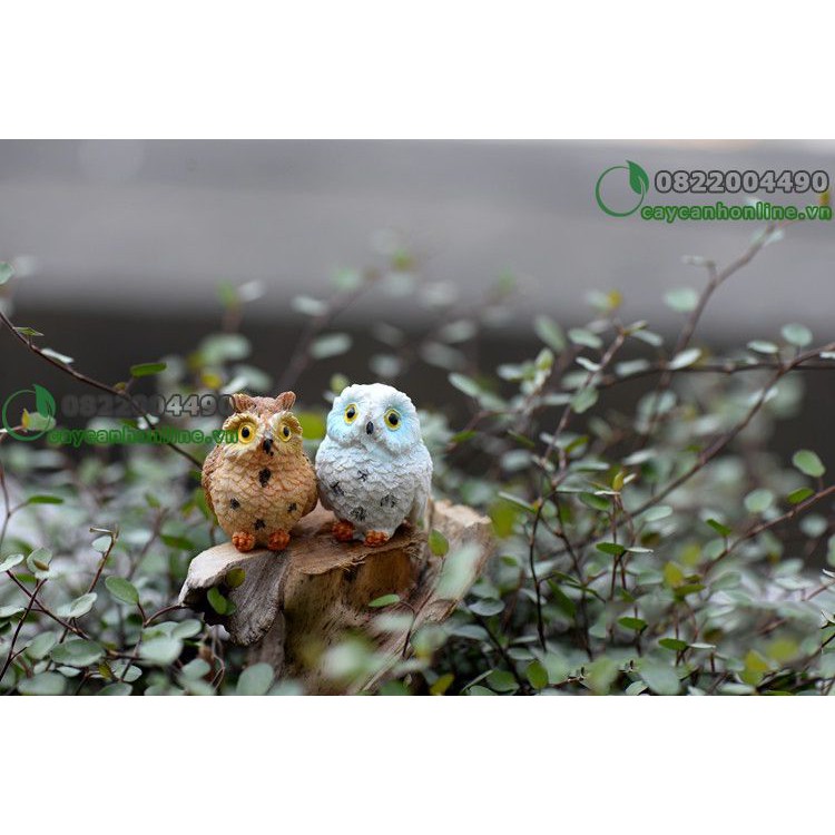 Chim cú mèo - tượng trang trí tiểu cảnh trang trí bàn làm việc - phụ kiện tiểu cảnh