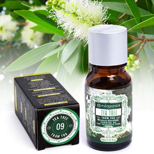 Tinh Dầu Tràm Trà Tea Tree Ấn Độ Milaganics 10ml