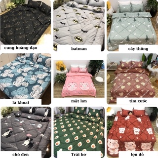 Chăn Phao poly cotton dày dặn ấm mềm mịn