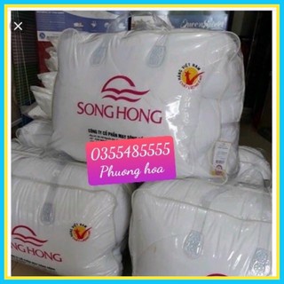 Ruột chăn Đông sông Hồng 3,5kg ( 200cmx220cm )chính hãng