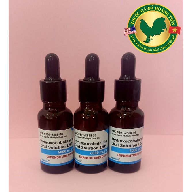 B12 6000 NHÂN SÂM CHAI 20ML - NHỎ MIỆNG TĂNG NƯỚC MÁU, TĂNG BO GÀ ĐÁ