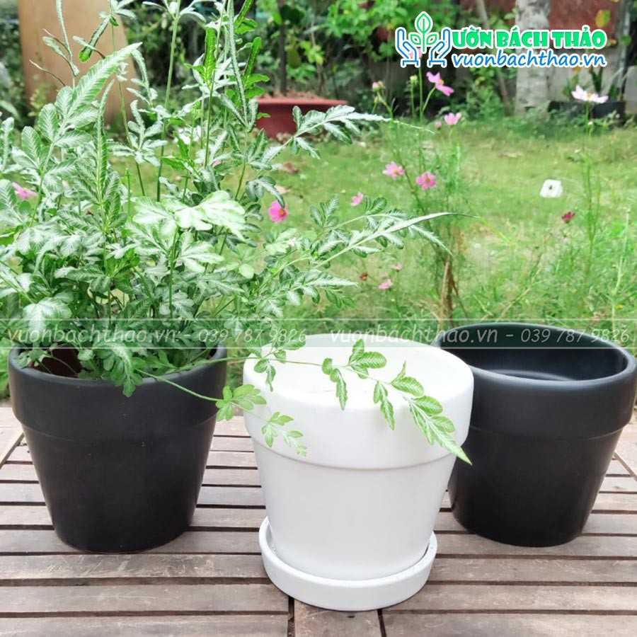 Chậu sứ trồng cây để bàn mini 07
