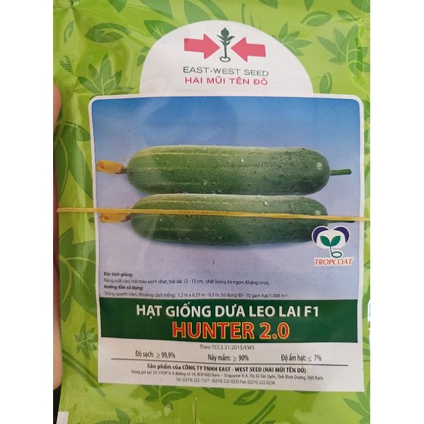Hạt giống dưa leo lai F1 Hunter 2.0 Hai Mũi Tên Đỏ gói 10g