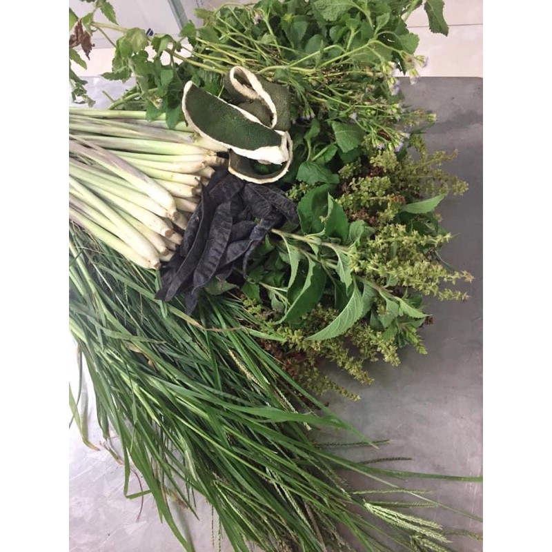 Bột bồ kết túi lọc - Thảo dược gội đầu bồ kết túi lọc - Hộp 10 túi x 10g | BigBuy360 - bigbuy360.vn