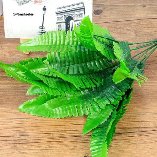 Cây dương xỉ giả 7 nhánh dùng trang trí