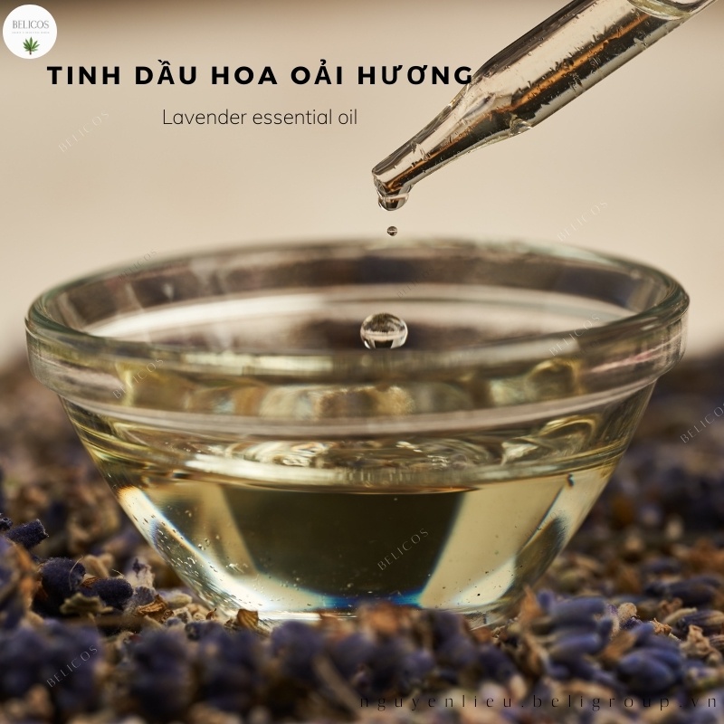 Tinh dầu hoa Lavender 30ml - Oải Hương nguyên chất làm nến thơm thiên nhiên, mỹ phẩm, nước hoa