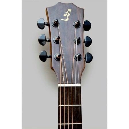 Acoustic Guitar Taylor Việt Nam D350