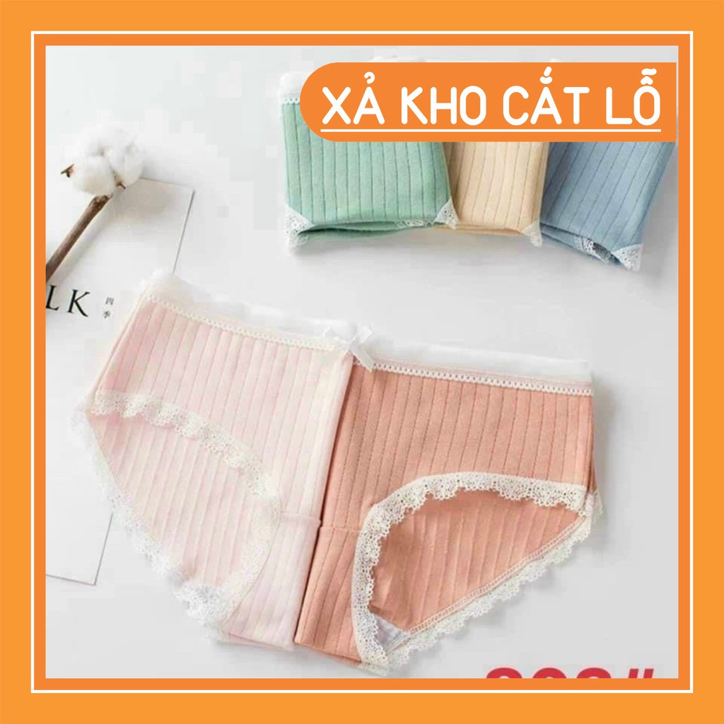 Sỉ Quần Lót Nơ Cotton Nữ Phối Ren Chất Đẹp cực Gợi cảm Rẻ Nhất Thị Trường