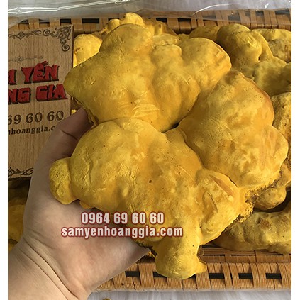 Nấm Thượng Hoàng Hàn Quốc Khay 500g