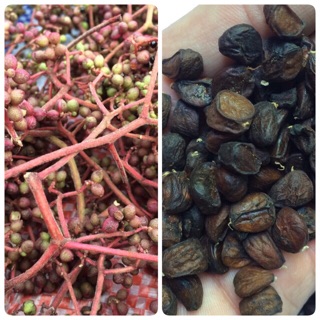 Hạt Mắc Khén Tây Bắc 500G