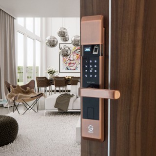 Khóa vân tay sello b101 đồng