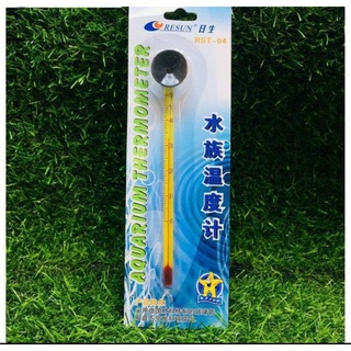 Nhiệt Kế Thủy Ngân