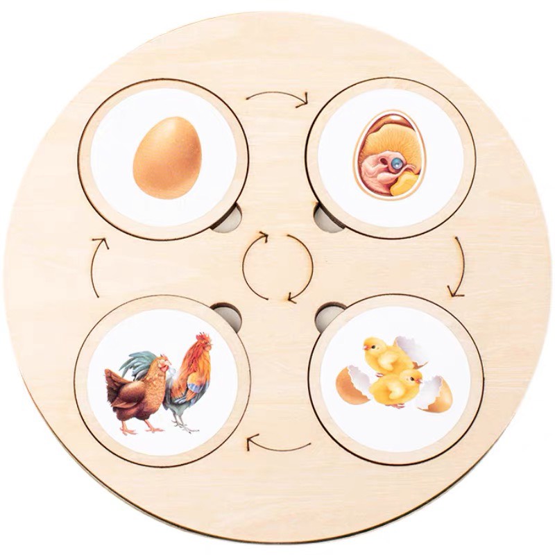 Bộ Thẻ Xếp Hình Vòng Đời Của Động Vật Theo Phương Pháp Montessori