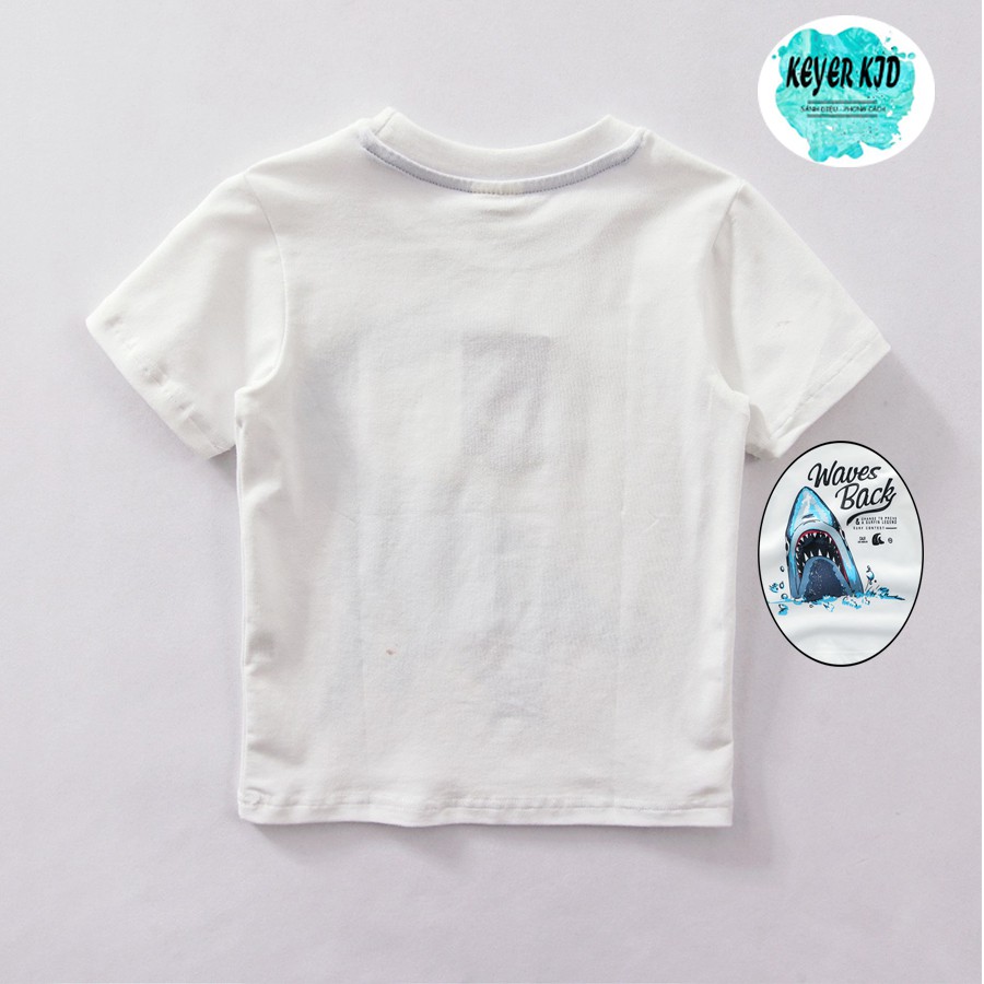 Áo Thun Trẻ Em 6 - 22 Kg, Áo Thun Bé Trai - Bé Gái Hình Cá Mập, 100% Cotton Thấm Hút Tốt, Hàng KEYER KID VN AT02