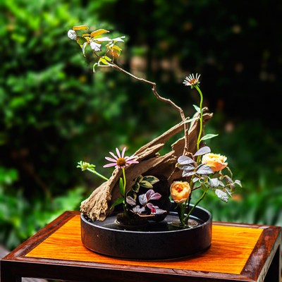 Đồ đựng gốm Trung quốc kiểu Nhật Bản Chậu hoa gốm sứ đĩa Thiền Định Cổ điển Hoa vật liệu