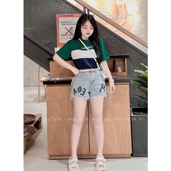 Áo Phông La.Cos Phối 3 Màu