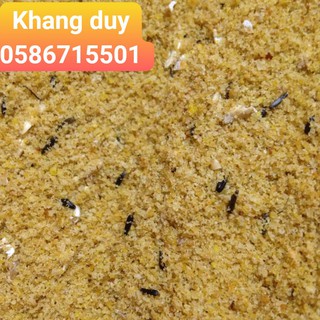 Cám đậu trứng dành cho yến hót