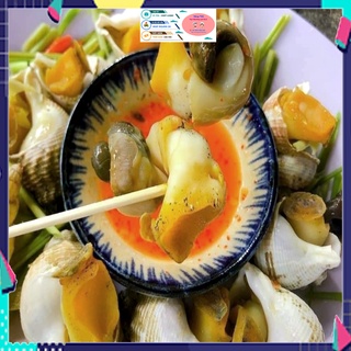 Ốc Bulot - [ Ship Siêu Tốc HCM 2H ]