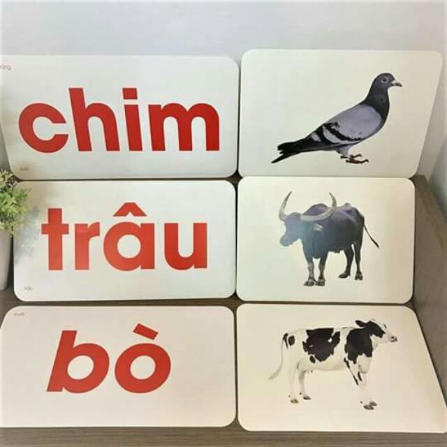 Combo 2 bộ thẻ học cho bé