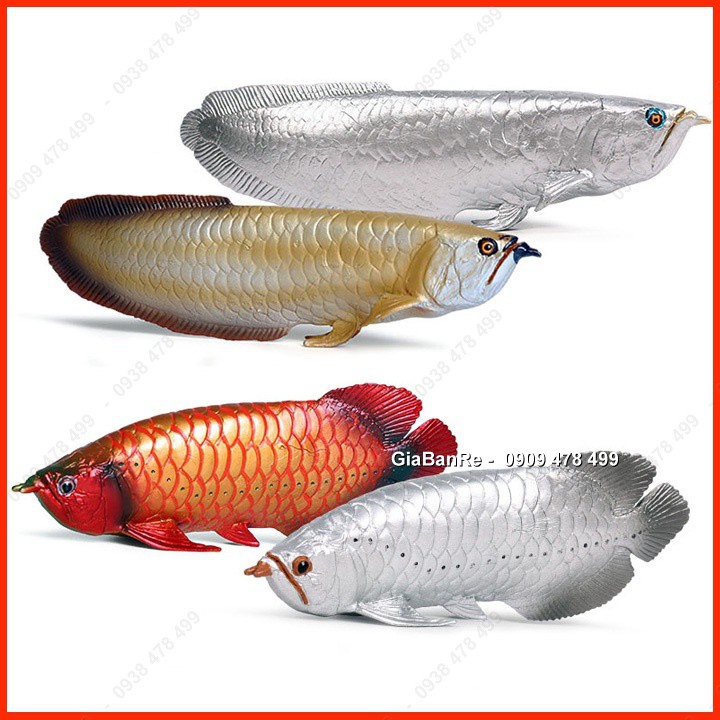 Mô Hình Cá Rồng Arowana – Kim Long, Ngân Long, Huyết Long - Dài 16-18cm 7667