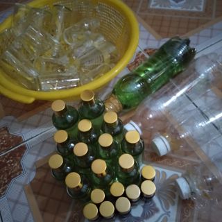 Tinh dầu tràm Huế