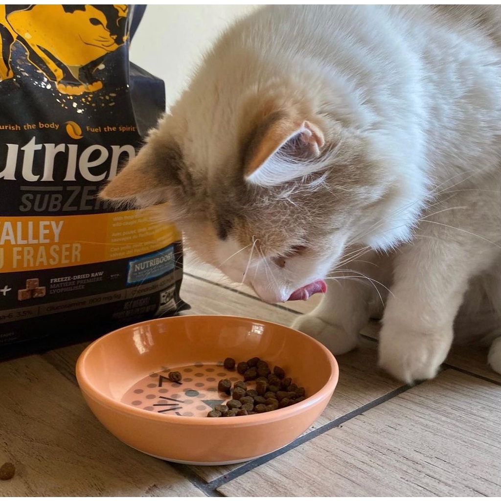 Hạt cho mèo Nutrience Subzero Bao 500g - Gà Tây, Cá Hồi, Cá Tuyết, Rau Củ & Trái Cây Tự Nhiên