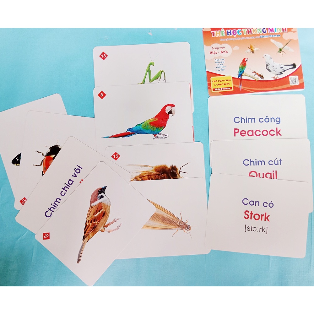 Set 17 Thẻ học song ngữ cho bé -CHIM VÀ CÔN TRÙNG (có mã quét QR dạy cách đọc)