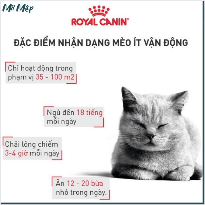 Thức ăn hạt ROYAL CANIN INDOOR - thức ăn hạt cho mèo trưởng thành - MỜ MẬP PETSHOP - bao nguyên 2kg