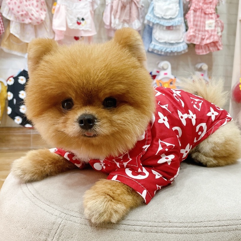 Áo sơ mi đỏ hoạ tiết sang chảnh cho chó mèo