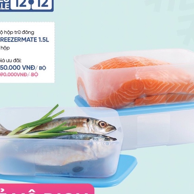 TUPPERWAREHOUSE MALL - Bộ 3 hộp trữ đông Freezermate 1,5l