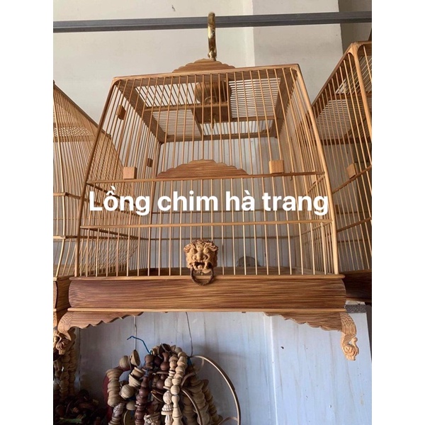 Lồng thái tre già