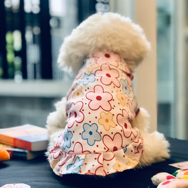 Áo Sơ Mi Ngũ Sắc Hoạ Tiết Hoa Mai Thời Trang Dành Cho Thú Cưng, Quần Áo Chó Mèo LaLi Petfashion