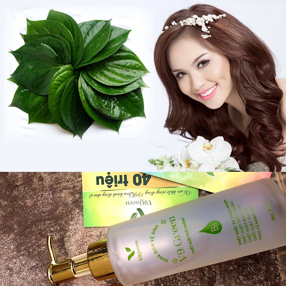 Dung dịch vệ sinh phụ nữ V9Queen, chiết xuất trầu không bạc hà V9 Green 100ml