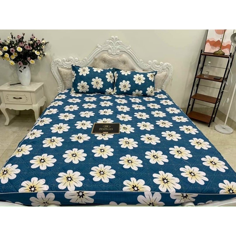 (Set 5 món) Bộ Chăn Ga Gối Trần Bông Đủ size(ga chun trần bông)