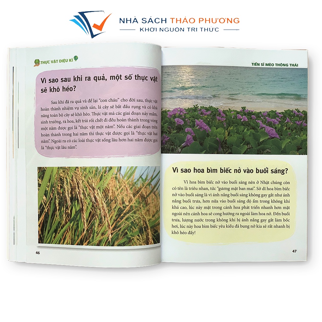 Sách - Bách Khoa Tri Thức Cho Trẻ Em - Tiến Sĩ Mèo Thông Thái (Lẻ cuốn)