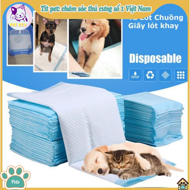 Tả lót siêu thấm hút [1 miếng lẻ]