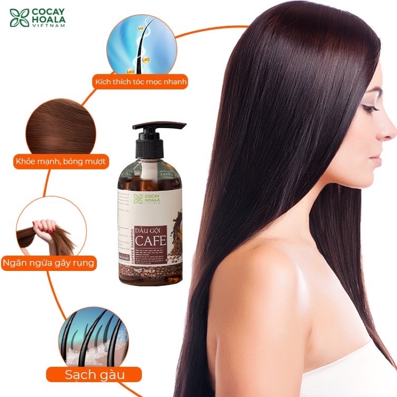 Combo dầu gội thảo dược sữa tắm Cafe sạch gàu khử mùi cơ thể Cocayhoala 300g | BigBuy360 - bigbuy360.vn