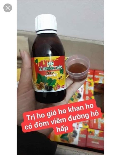 Cao Ho Lá Thường Xuân Chanh Đào Tỏi Đen