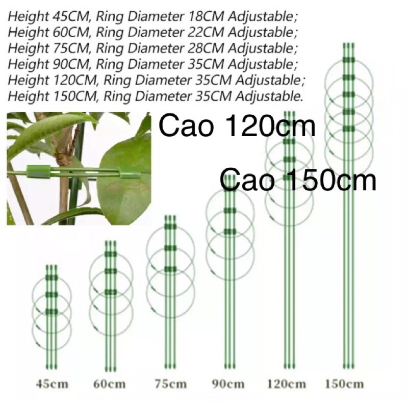 Khung Đỡ Hoa Hồng, Cây Leo 75/90/120/150Cm Vòng Điều Chỉnh.